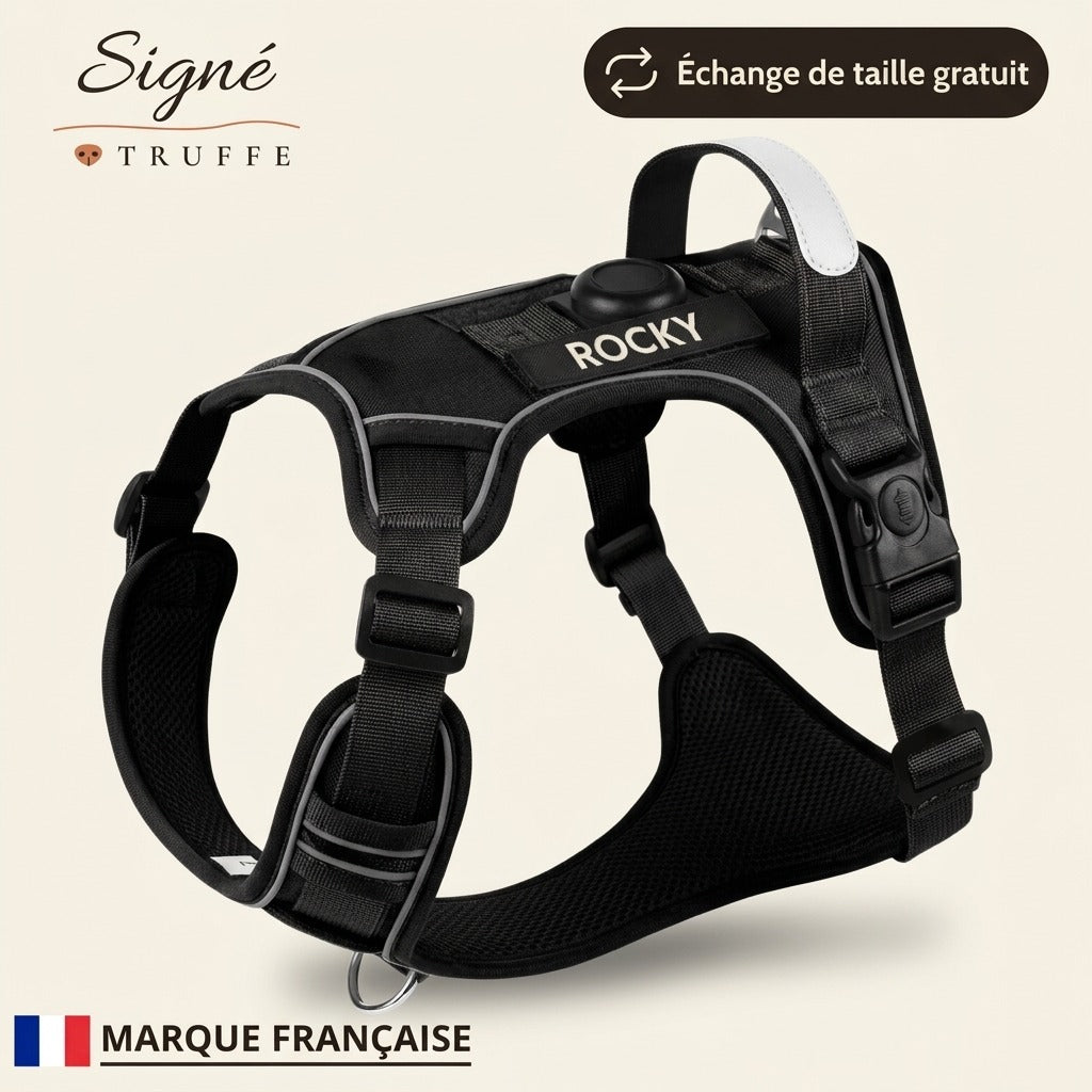 Pack balade : harnais personnalisé et laisse assortie