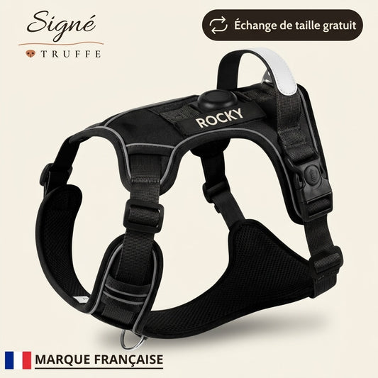 Pack balade : harnais personnalisé et laisse assortie